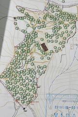 Finca rústica a Carrer afores 92. Finca rústica con viñas y agua en sant feliu de guíxols terreno