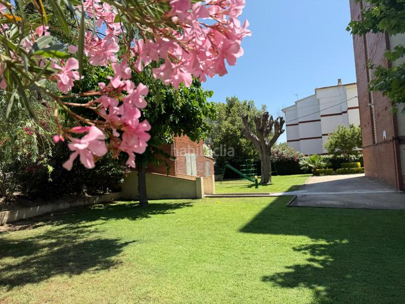 Foto 7bd42c9b-5a7a-4f5c-9ee2-077e0e84ed2a. Alquiler piso en carrer queralbs 7 alquiler mes completo, mes de julio mes de agosto en Platja d´Aro