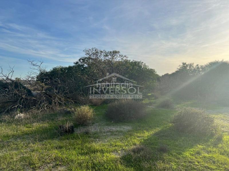 Foto 00b008ee-6860-4a1c-896d-33fe8fdd1cad. Terreny residencial a carretera de almería 222 a Ejido (El)