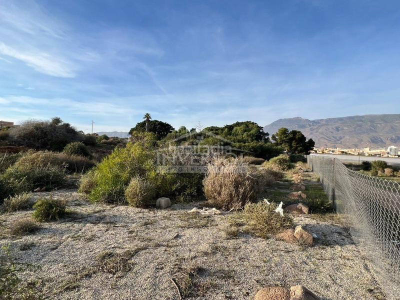 Foto 0ea4ac96-2b32-4eeb-8189-462264bcd194. Terreny residencial a carretera de almería 222 a Ejido (El)