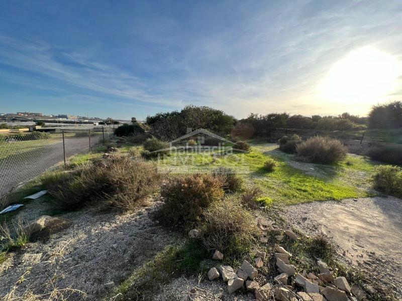 Foto 29d3daf7-2836-4d1f-a155-50779c8bcedf. Terreny residencial a carretera de almería 222 a Ejido (El)