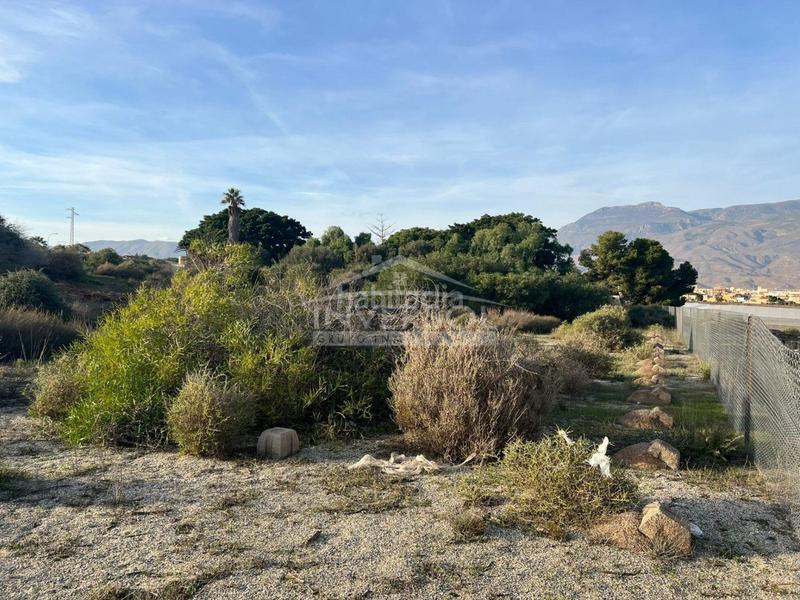 Foto 81fb9f91-3bfb-4616-a8a4-f0cc59122d68. Terreny residencial a carretera de almería 222 a Ejido (El)