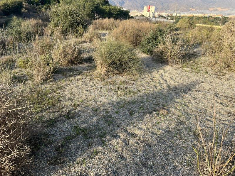 Foto d87f7d8b-dbfc-4b87-b2df-a56bbe97222e. Terreny residencial a carretera de almería 222 a Ejido (El)
