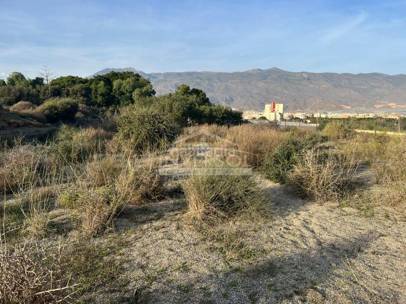 Foto e9feb278-801c-42e9-9022-41e4fa28826f. Terreny residencial a carretera de almería 222 a Ejido (El)