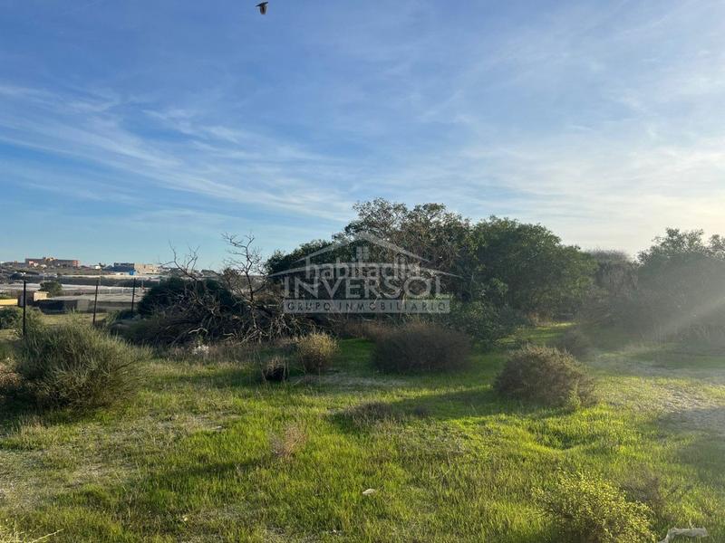 Foto f9eb58d8-6834-44a1-991e-1ab6037c0c6a. Terreny residencial a carretera de almería 222 a Ejido (El)