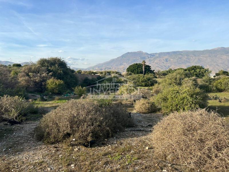 Foto 5091c26a-d502-46a3-b61d-c54eda191e88. Terreno residencial en carretera de almería 222 terreno urbanizable en el ejido en Ejido (El)