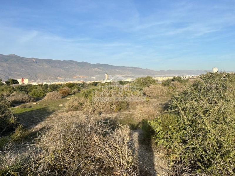 Foto 69240312-6e7a-4c15-af05-47c2435003f0. Terreno residencial en carretera de almería 222 terreno urbanizable en el ejido en Ejido (El)