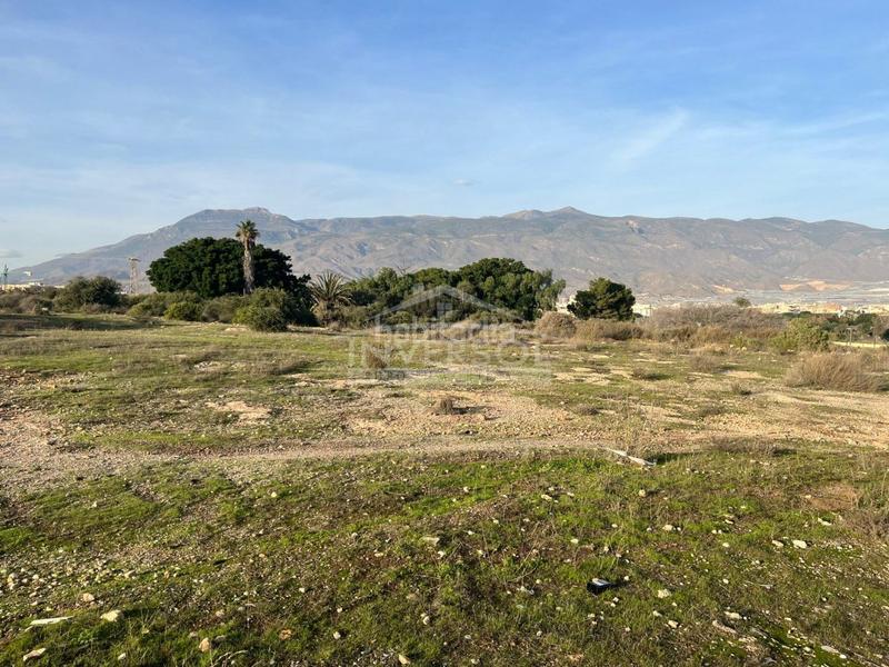 Foto 85ade7ed-b3e7-4d9f-9adc-96319b7e139f. Terreno residencial en carretera de almería 222 terreno urbanizable en el ejido en Ejido (El)