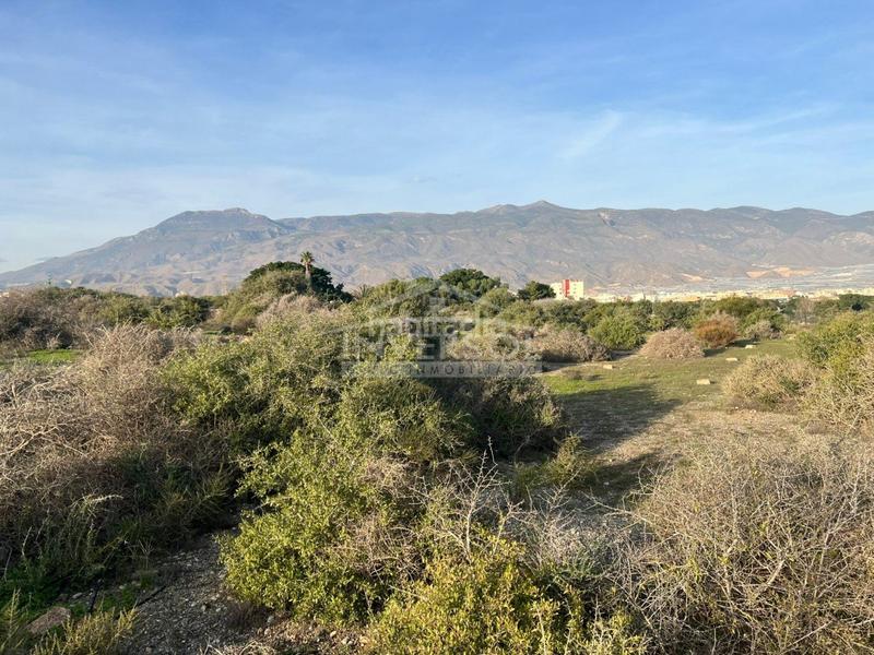 Foto a018ed71-6259-495c-9705-e1858c96189d. Terreno residencial en carretera de almería 222 terreno urbanizable en el ejido en Ejido (El)