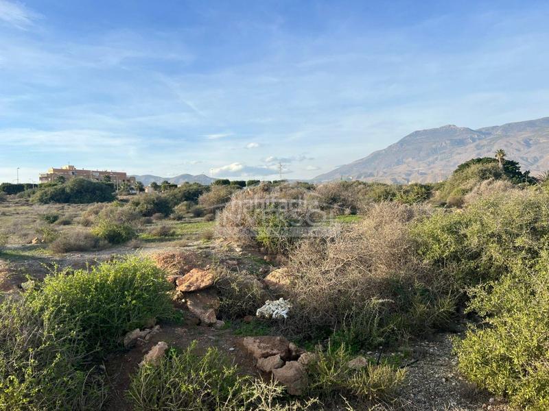 Foto b3804c75-fd32-43ce-b74b-9b9a69535c9a. Terreno residencial en carretera de almería 222 terreno urbanizable en el ejido en Ejido (El)