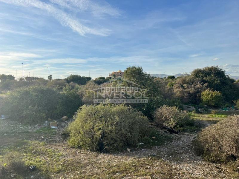 Foto b655ed07-d403-40ed-af71-75f13d8b34a4. Terreno residencial en carretera de almería 222 terreno urbanizable en el ejido en Ejido (El)