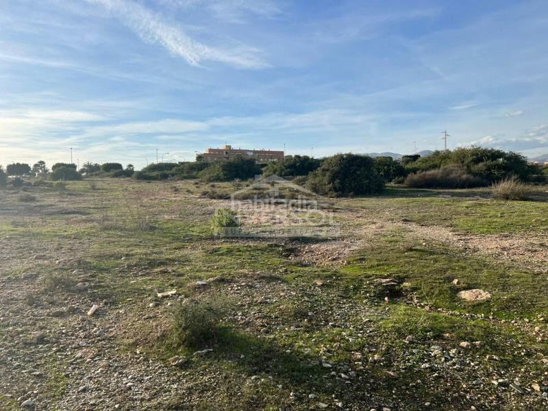 Foto c1b7658d-f643-4214-ae6b-eb5fb5c38a74. Terreno residencial en carretera de almería 222 terreno urbanizable en el ejido en Ejido (El)