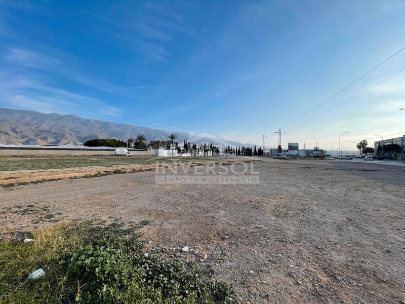Foto 7774bd4d-ce83-447b-8e07-90b9fc24d8ab. Finca rústica en calle murgis 116 finca rústica en el ejido en Ejido (El)