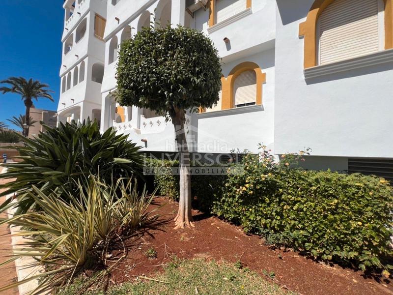 Foto 9180f872-bb0c-4a87-b0c6-513f53caef1d. Casa a schiera con riscaldamento parcheggio piscina in Ejido (El)