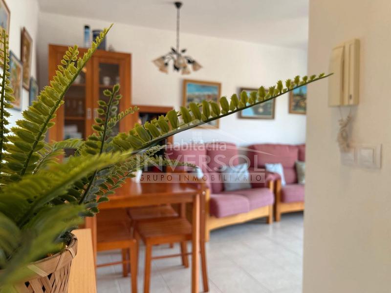 Foto 864a8207-d8eb-4616-ad5f-0303296041ef. Piso en calle almadraba 9 vivienda en laguna beach en Ejido (El)