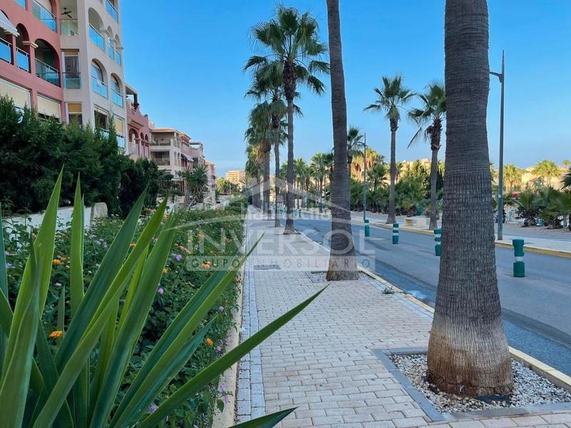 Foto 31210296-84c6-4763-a613-d0e321c5d285. Appartement dans calle a glaucio 15 dans Almerimar Ejido (El)