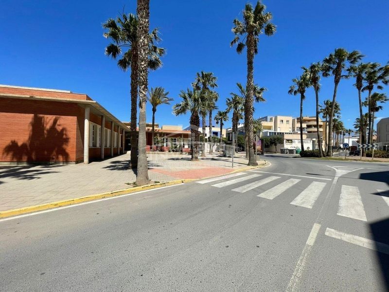 Foto cdc84d73-28b3-4a7e-94bd-4bfe2e7983f7. Pis a Balerma Ejido (El)