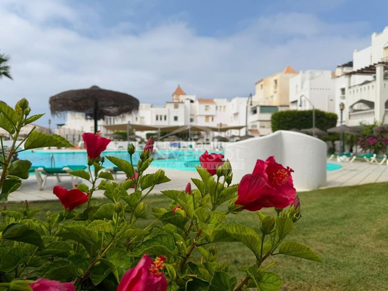 Foto a1bb9848-eccf-4804-81d1-29ce0ab358fe. Flat in Almerimar Ejido (El)
