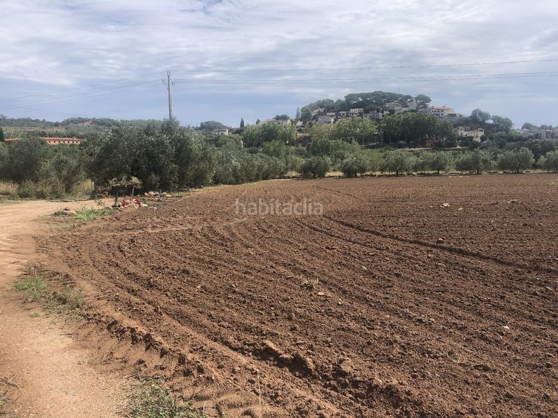Foto bfcd5783-0b69-4aec-866d-455fa35866fc. Terreny residencial a Caldes de Montbui