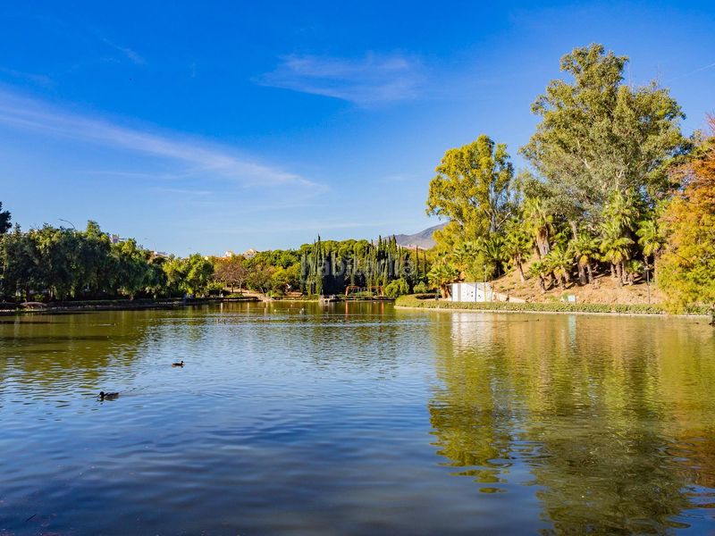 Foto cb134b44-285a-4c5b-b7a1-bc3dda0d14ca. Estudi a Parque de la Paloma Benalmádena