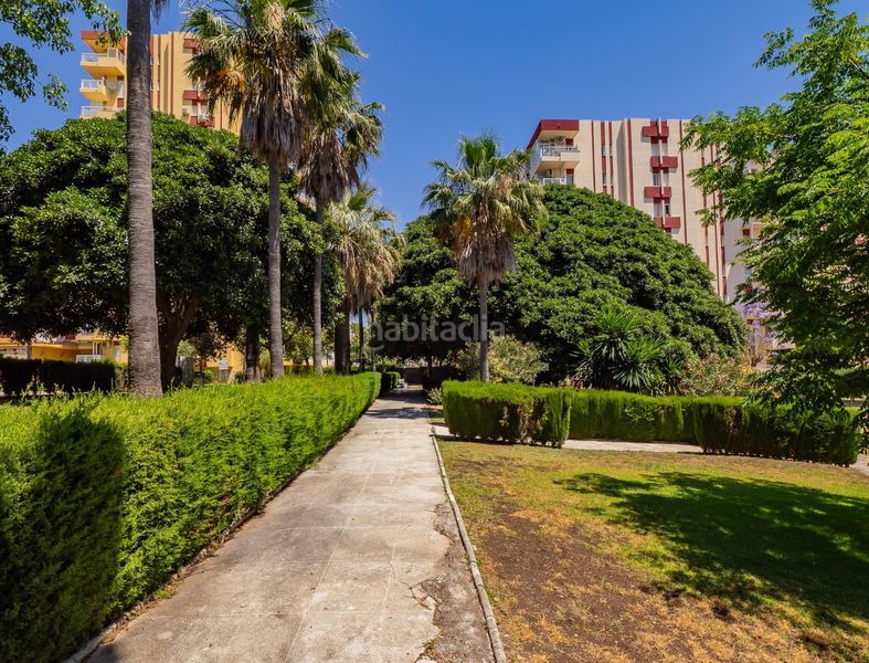 Foto 0dd0a444-d54d-4190-971d-e8a71fc80666. Estudi amb piscina a Parque de la Paloma Benalmádena