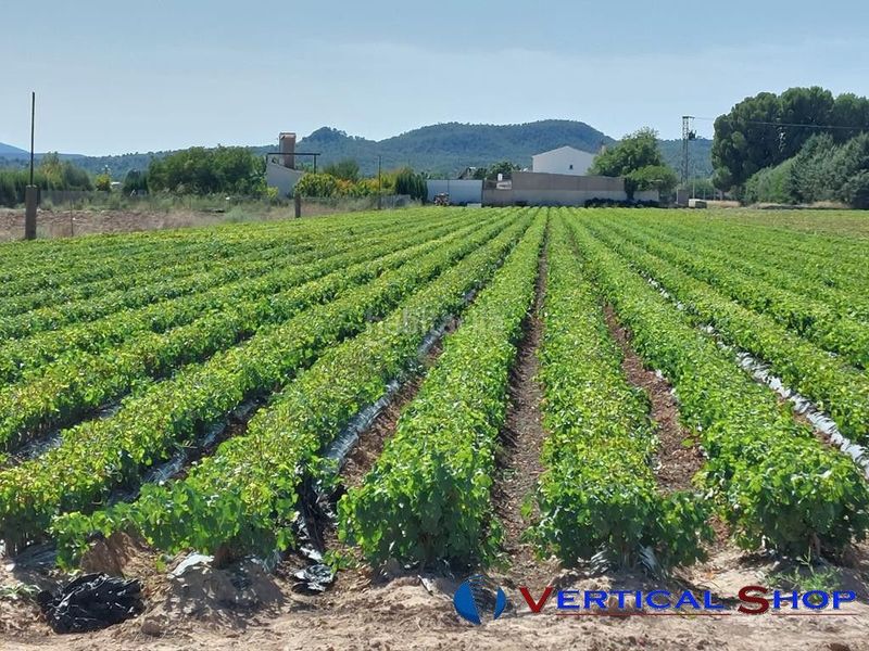 Foto 1320ce55-1dd8-4462-bc90-bf71f695e191. Terreny residencial a Caudete
