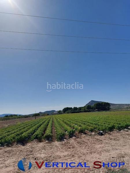 Foto 3f206e31-729c-4c2b-b8b4-2f4572ba348e. Terrain résidentiel dans Caudete