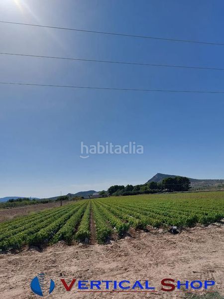 Foto 96894f88-f7f1-419b-a807-f602d0b18087. Terreny residencial a Caudete