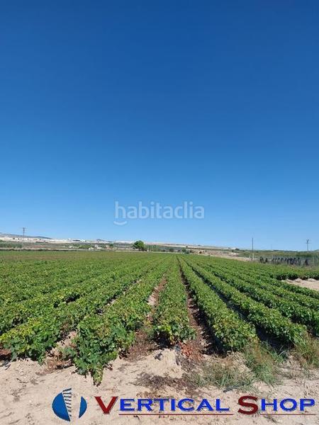 Foto e19d2e42-b7c4-438a-ac36-36e8e6d4070a. Terrain résidentiel dans Caudete