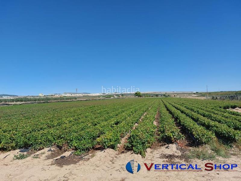 Foto ed14d41a-2dd5-4bcc-868f-ff53c5aec943. Terrain résidentiel dans Caudete