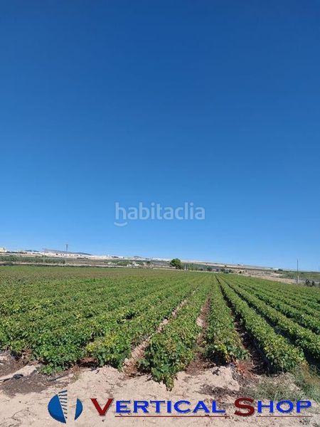 Foto f0f96f17-f010-4fb4-a3a2-3736d691539c. Terreny residencial a Caudete