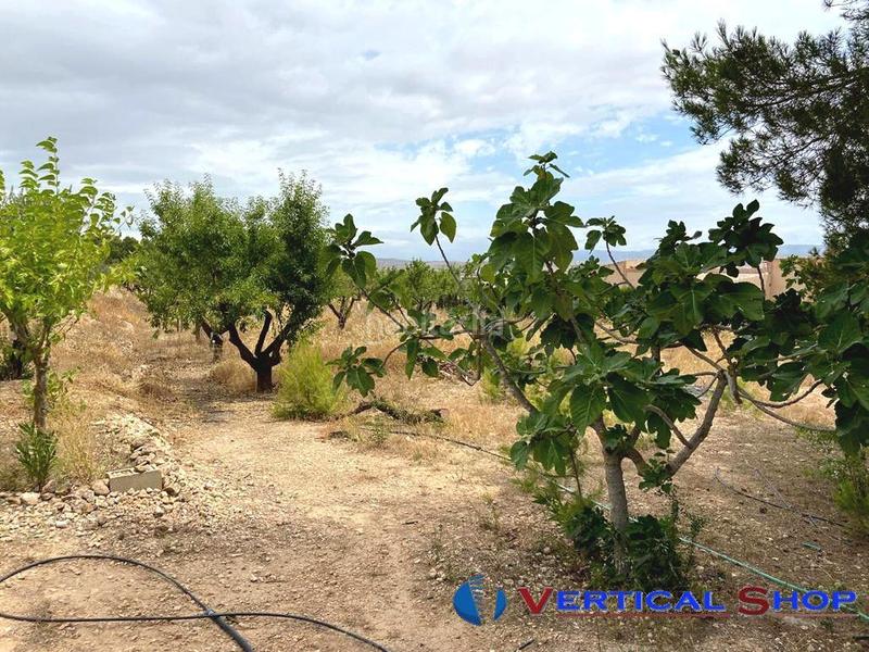 Foto 0f15aa4e-1f93-4467-8c29-f11181ae8d88. Terrain résidentiel dans Caudete