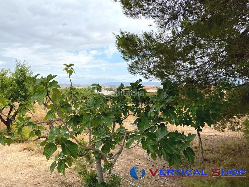 Foto 1c559291-4d59-4a9d-833a-f9662394ee23. Terrain résidentiel dans Caudete