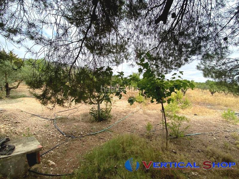 Foto 270b8e20-4747-4720-a703-fd7e3745cbdf. Terrain résidentiel dans Caudete