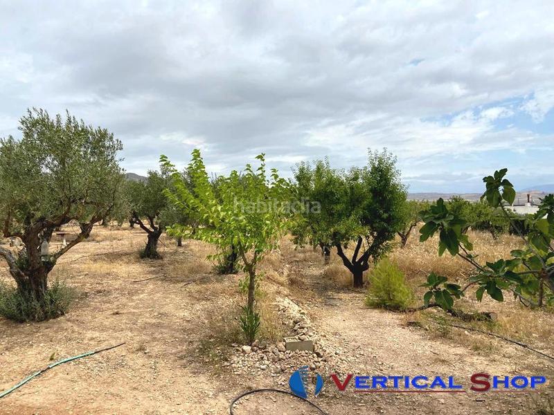 Foto 3acf2001-015c-4437-9705-f0c34f875728. Terrain résidentiel dans Caudete