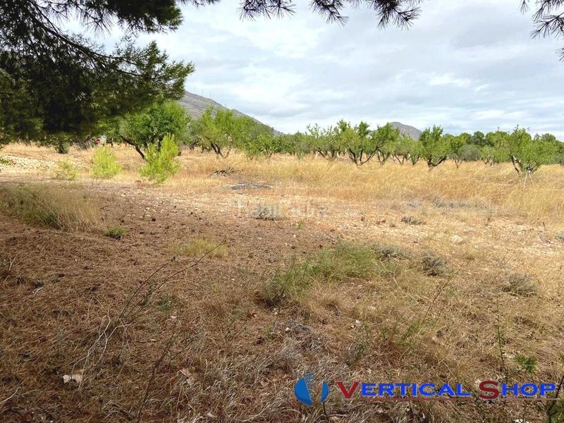 Foto 8095598a-a467-41ae-9b05-1dfe3bc1f3ce. Terrain résidentiel dans Caudete