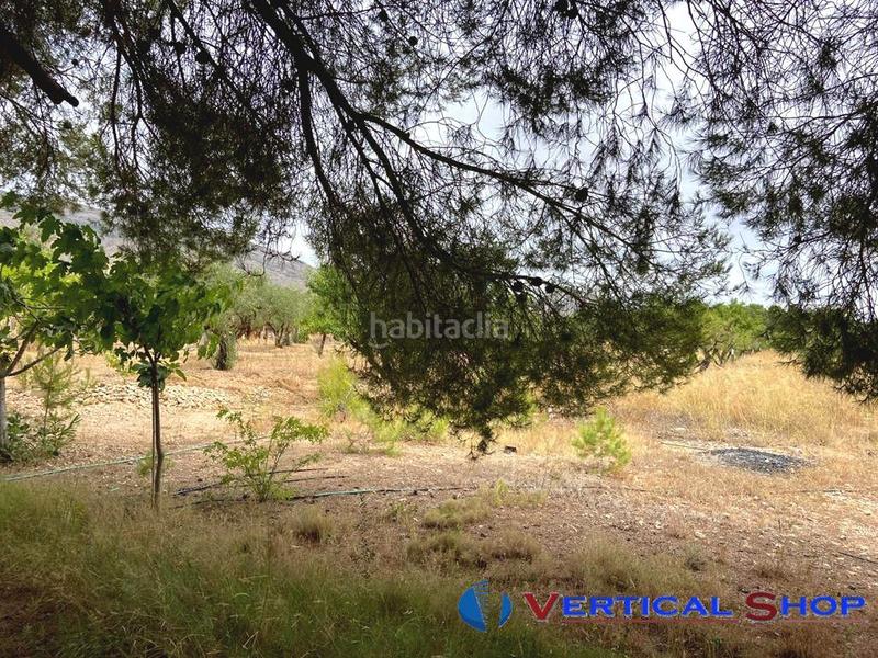 Foto 8114c78e-5565-4552-8dde-e35cb7fcc0d3. Terrain résidentiel dans Caudete