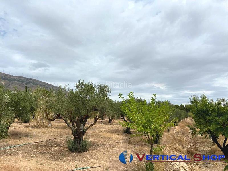 Foto d19df2cd-4458-48f6-a449-bd63b66d51af. Terrain résidentiel dans Caudete