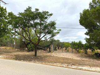 Residential Plot  Vereda santa. Terreno urbano en venta en vereda santa ana.