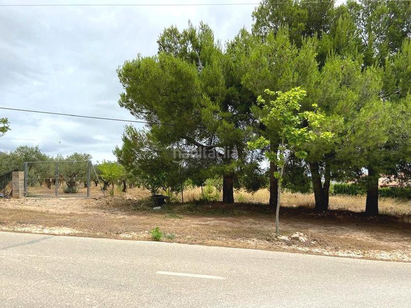 Foto ed1ce8ff-6df1-4bf6-b2d3-cac870d14191. Terrain résidentiel dans Caudete