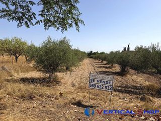 Terreny residencial a Caudete