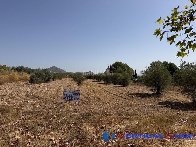 Foto 22e19c9f-d2ff-4e8e-bb6b-759957700669. Terreny residencial a Caudete