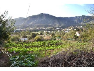 Finca rústica a Valsequillo de Gran Canaria. Solar en venta en tenteniguada