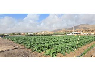 Residential Plot  De murcia. Venta de terreno en lorca