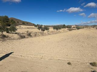 Propriété à Parroquia 1. Finca rustica secano en lorca