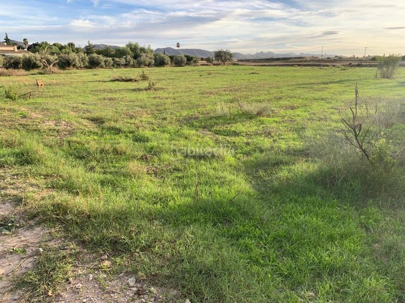 Foto 27bf90ea-89f6-4ce7-874d-c9d4c6c25c62. Terreno residencial parcela en venta en aguaderas en Lorca