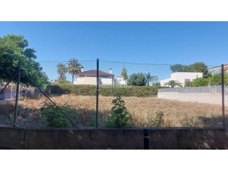 Foto f4372184-f9a2-43b4-bdf0-7c1793c3c25e. Finca rústica a alameda doctor josé fernández corredor 5 a Lorca