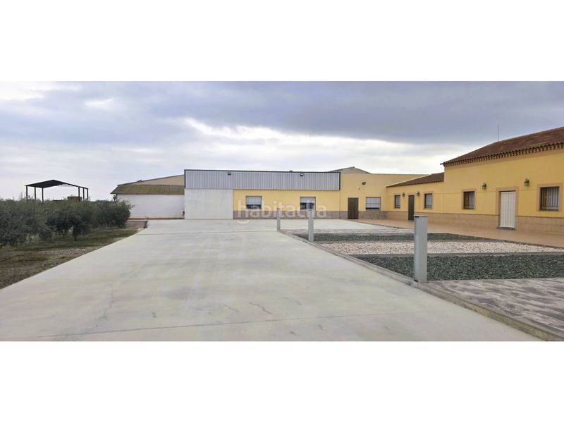 Foto cf8b7538-a22f-4770-9c74-5b0e3ec1e998. Finca rústica a San José Lorca