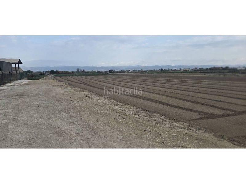 Foto e4b71442-5c49-4132-b14a-a6d407153934. Finca rústica a San José Lorca