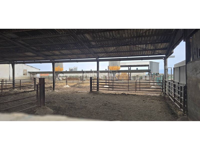 Foto f5862825-53f3-4a9e-b884-a26fd2a54955. Finca rústica a San José Lorca